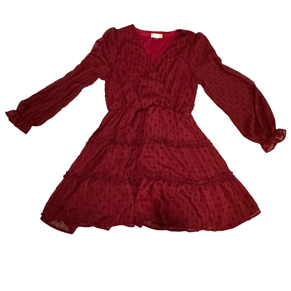 Altar'd State Mini Dress Burgundy Red Medium Swiss Dot Boho Holiday Party